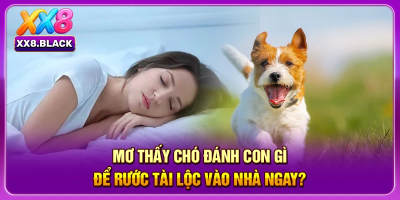 Mơ Thấy Chó Đánh Con Gì Để Rước Tài Lộc Vào Nhà Ngay?